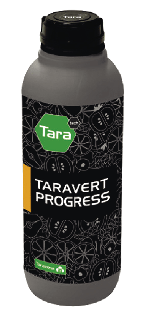 Taravert Progress