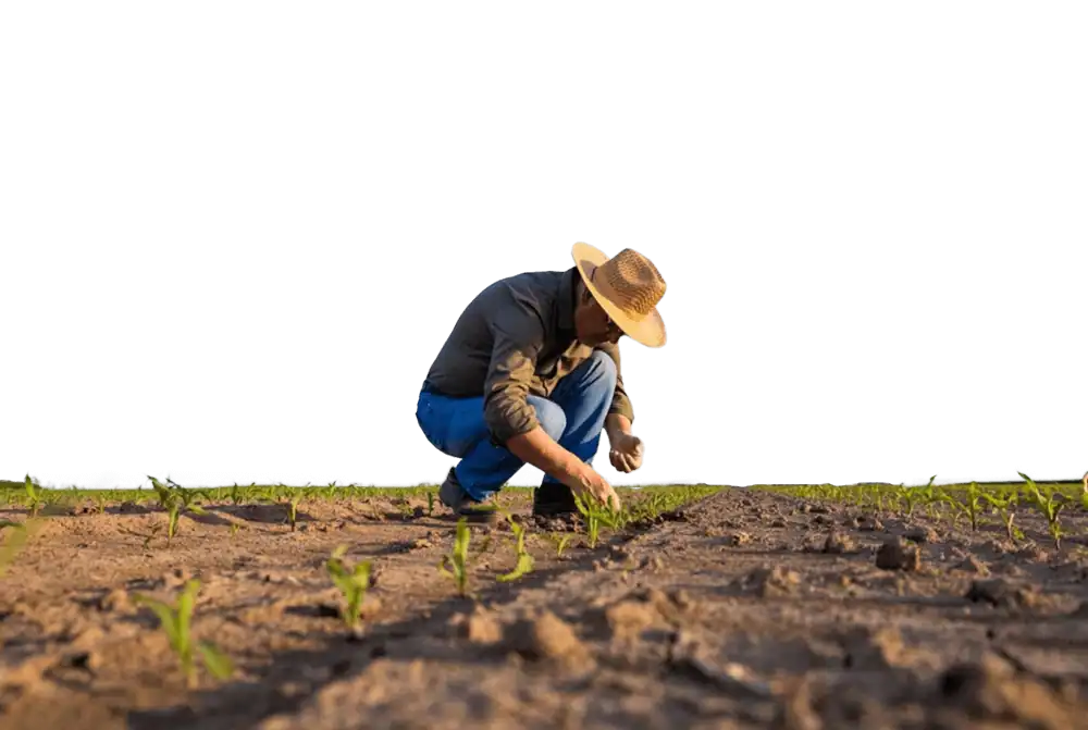 Agricultor plantando en tierra fértil con técnicas agroecológicas y sostenibles en Ecuador.